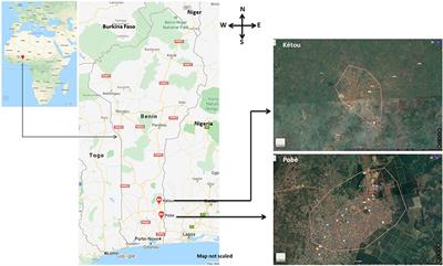 Observations on How People in Two Locations of the Plateau Département of Southeast Benin Perceive Entomophagy: A Study From West Africa